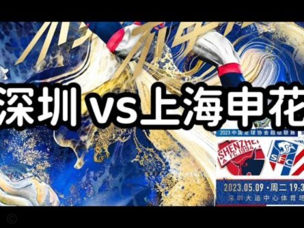 申花球迷热议：为什么2014年要改名？