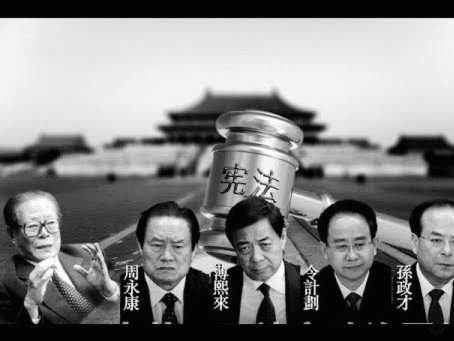 帕利尼亚仍盼冲击世界杯，赛后抉择未来