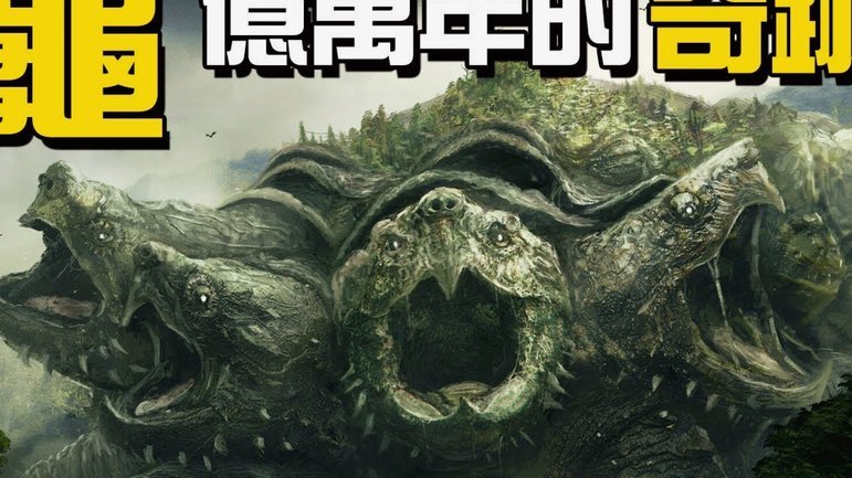 城彰二：日本能否进世界杯八强要看镰田大地，后腰恐成命门