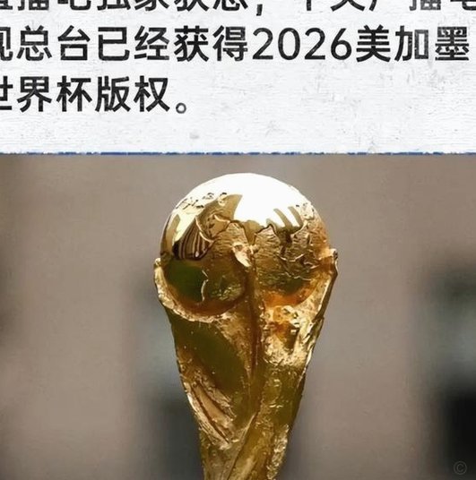 真赢麻了？世界杯版权在中国到底卖了多少钱