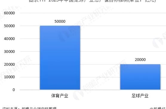 足球可能是未来十年中国最好的行业之一