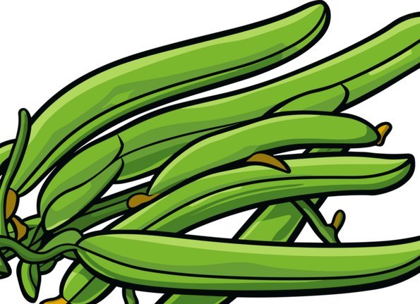 洪明甫真的比范志毅强吗，我觉得不见得