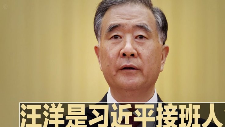 维尔纳与博加前景最佳